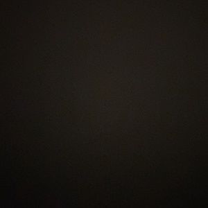 Meet your Posher, Cheyenne